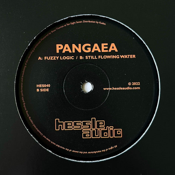 Pangaea (4) : Fuzzy Logic / Still Flowing Water (12