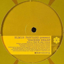 Load image into Gallery viewer, Panyard : Broken Heart (12&quot;)
