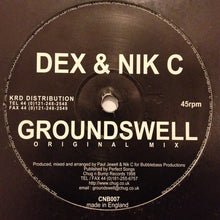 Load image into Gallery viewer, Dex &amp; Nik C : Groundswell (12")

