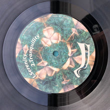 Load image into Gallery viewer, The Cyclist : STP (12&quot;)
