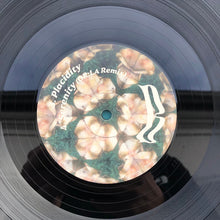 Load image into Gallery viewer, The Cyclist : STP (12&quot;)
