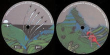 Load image into Gallery viewer, Freeform : Wildcat (12")
