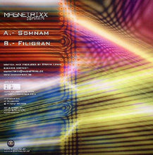 Load image into Gallery viewer, Magnetrixx : Somnam (12")
