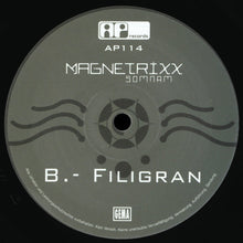 Load image into Gallery viewer, Magnetrixx : Somnam (12")
