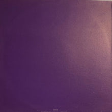 Load image into Gallery viewer, The Good Men : Damn Woman (12")
