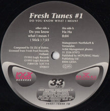 Load image into Gallery viewer, Fresh Tunes : #1 - Do You Know What I Mean? (12&quot;)
