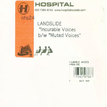 Load image into Gallery viewer, Landslide : Incurable Voices / Muted Voices (10")
