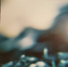 Load image into Gallery viewer, ASC : Fervent Dream (2x12&quot;, Album)
