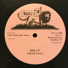 Load image into Gallery viewer, Tyrone Evans : Rise Up  (12&quot;)
