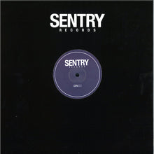 Load image into Gallery viewer, RDG (3) : Press Trigger (12&quot;, EP)
