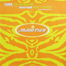 Load image into Gallery viewer, York : The Awakening (12", Single)
