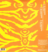 Load image into Gallery viewer, York : The Awakening (12", Single)
