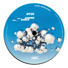 Load image into Gallery viewer, Otus (9) : Juniper / Zinnia (12")
