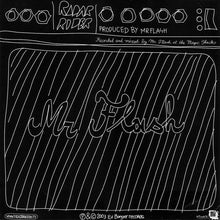 Load image into Gallery viewer, Mr Flash* / A Bass Day : Radar Rider / F.I.S.T. (12")
