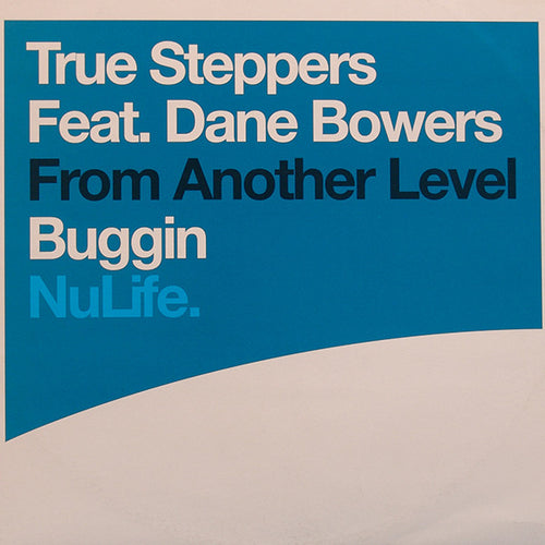 True Steppers Feat. Dane Bowers : Buggin (12