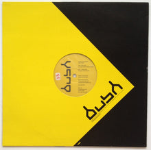 Load image into Gallery viewer, Andrew McLauchlan : Love Story (12")
