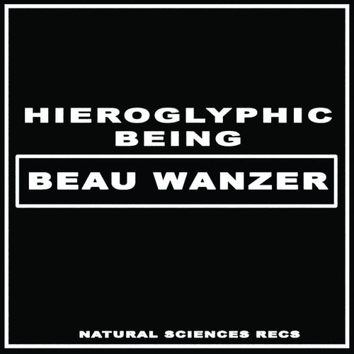 Beau Wanzer x Hieroglyphic Being : 4 Dysfunctional Psychotic Release & Sonic Reprogramming Purposes Only (12