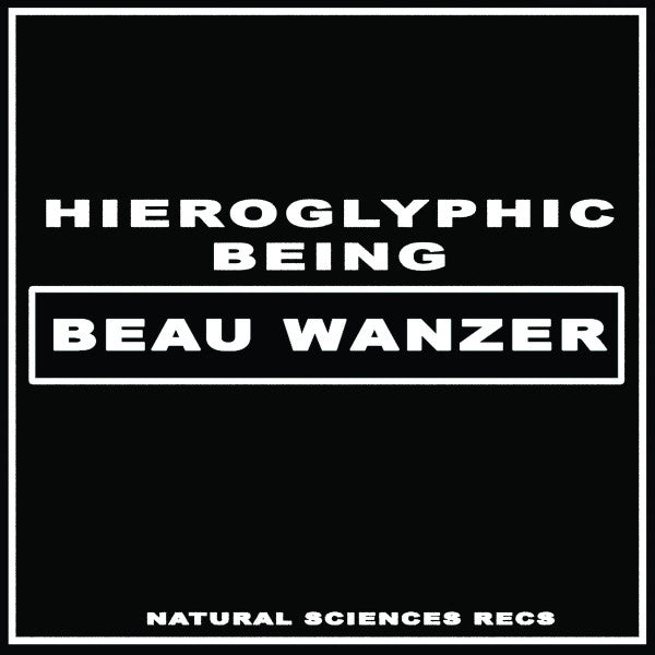 Beau Wanzer x Hieroglyphic Being : 4 Dysfunctional Psychotic Release & Sonic Reprogramming Purposes Only (12