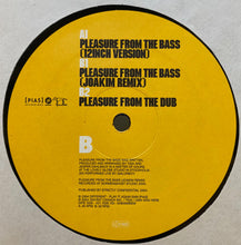 Load image into Gallery viewer, Tiga : Pleasure From The Bass (12")
