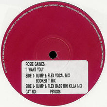 Load image into Gallery viewer, Rosie Gaines : I Want You (12", Sti)
