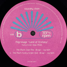 Load image into Gallery viewer, Pilgrimage : Land Of Ecstasy (12&quot;)
