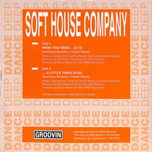 Load image into Gallery viewer, Soft House Company : What You Need ... (12", RM)
