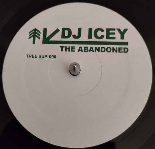 DJ Icey : The Abandoned (12