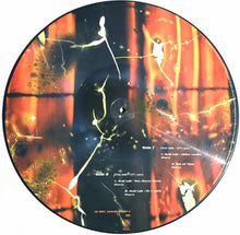 Load image into Gallery viewer, Alex Reece : Acid Lab (12", Pic)
