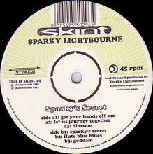 Load image into Gallery viewer, Sparky Lightbourne : Sparky's Secret (12")

