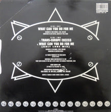 Load image into Gallery viewer, Utah Saints : What Can You Do For Me (12", Single)
