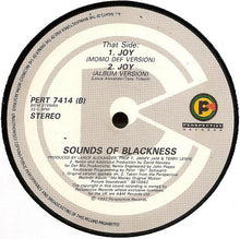 Load image into Gallery viewer, The Sounds Of Blackness* : Soul Holidays / Joy (12&quot;)
