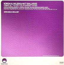 Load image into Gallery viewer, Ali Wilson &amp; Matt Smallwood : Gimme All Ya Got (12")
