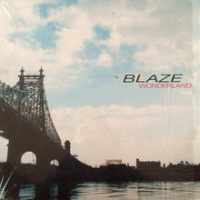 Load image into Gallery viewer, Blaze : Wonderland (12")
