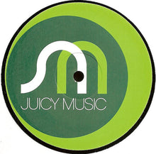 Load image into Gallery viewer, Robbie Rivera : The Hum Melody (12&quot;)
