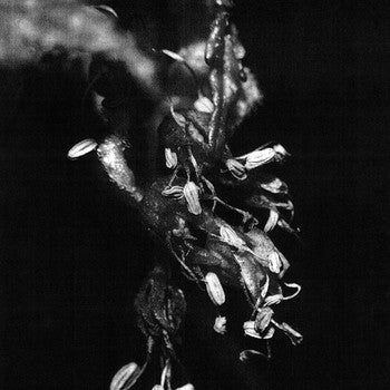 Mike Shiflet : Sufferers (LP)