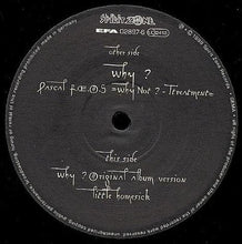 Load image into Gallery viewer, Gabriel Le Mar : Why ? (12")
