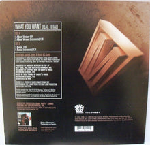 Load image into Gallery viewer, Mase Featuring Total : What You Want (12")

