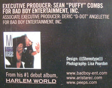 Load image into Gallery viewer, Mase Featuring Total : What You Want (12")
