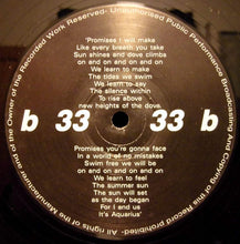 Load image into Gallery viewer, Whyte : Promises (12&quot;)
