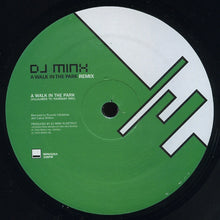 Load image into Gallery viewer, DJ Minx : A Walk In The Park (Remix) (12")
