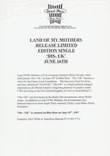 Load image into Gallery viewer, Land Of My Mothers : Dis - UK (12&quot;)
