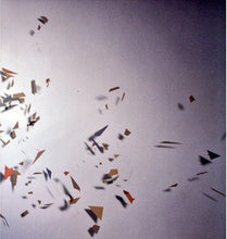 Load image into Gallery viewer, Headhunter (9) : Clone / Projector (12")
