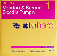 Load image into Gallery viewer, Voodoo &amp; Serano : Blood Is Pumpin&#39; (12&quot;)
