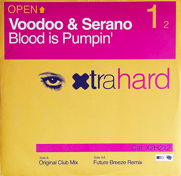 Voodoo & Serano : Blood Is Pumpin' (12