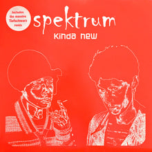Load image into Gallery viewer, Spektrum : Kinda New (12")
