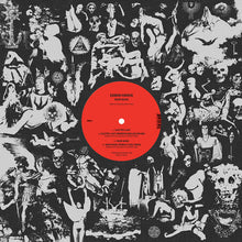 Load image into Gallery viewer, Eamon Harkin : Rigor Music (12&quot;)
