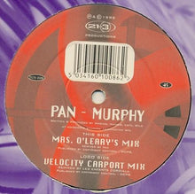 Load image into Gallery viewer, Pan : Murphy (12")
