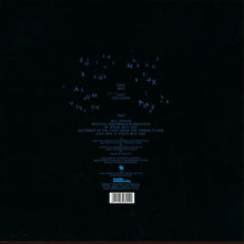Load image into Gallery viewer, Kate Wax : Dust Collision Remixes (12&quot;)
