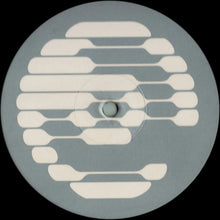 Load image into Gallery viewer, Antarctica* : Return To Reality (12")
