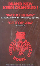 Load image into Gallery viewer, Kerri Chandler : Back To The Raw (12")

